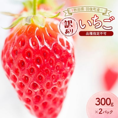訳あり いちご 品種指定不可 300g×2パック[No.5325-0511]