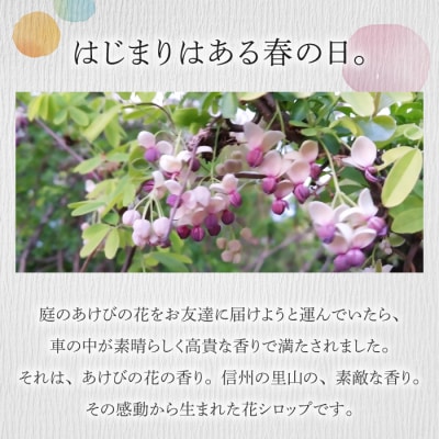 信州の花シロップ　お任せ3種(たんぽぽ、よもぎ、あけびの花、カモミール、野ばらのうち3種)