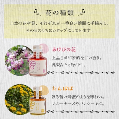 信州の花シロップ　お任せ3種(たんぽぽ、よもぎ、あけびの花、カモミール、野ばらのうち3種)