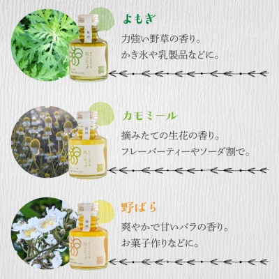 信州の花シロップ　お任せ3種(たんぽぽ、よもぎ、あけびの花、カモミール、野ばらのうち3種)
