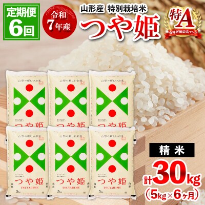 【3月開始】定期便6回 令和7年産 山形産 特別栽培米 つや姫 5kg×6 FZ25-092