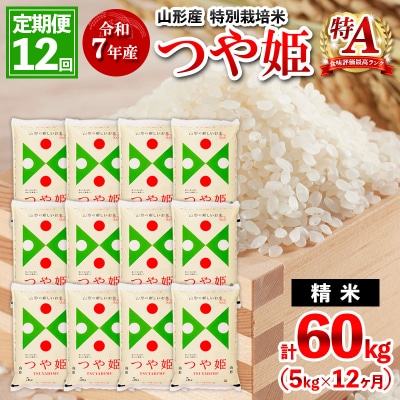 定期便12回 令和7年産 山形産 特別栽培米