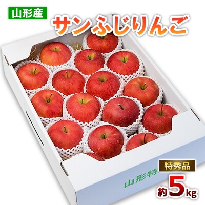 山形のサンふじりんご 特秀品 約5kg (10～25玉)【令和8年産】FS25-789