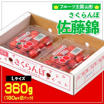 さくらんぼ 佐藤錦 L360g(180g×2) 【令和9年産先行予約】FS25-558