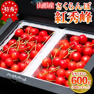 さくらんぼ 「紅秀峰」 600g 特秀品 Lサイズ以上【令和9年産先行予約】FS24-745