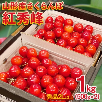 さくらんぼ紅秀峰 ”希少な大粒”厳選 2L 1kg【令和9年産先行予約】FS25-570
