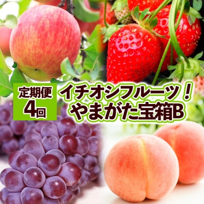 【定期便4回】イチオシフルーツ!やまがた宝箱B  FY25-822