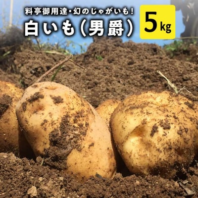 料亭御用達!東御市産白いも 5kg|じゃがいも【数量限定】|御牧八重原農園 