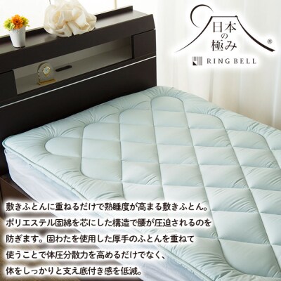 【日本の極み】固わた 敷ふとん(オーバーレイタイプ) 2枚セット FY23-349