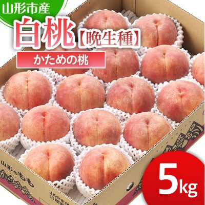 山形市産 かための桃5kg【晩成種】「伊達白桃・白根白桃・さくら白桃」【令和8年産】FS25-129