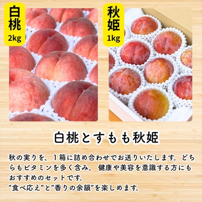 やまがた果実めぐり ―白桃と秋姫― 約3kg 秀品【令和8年産先行予約】FS25-090