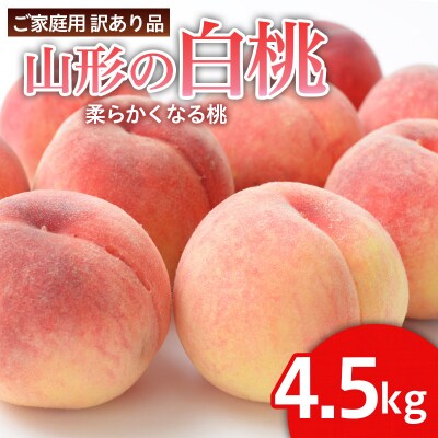 【ご家庭用訳あり品】山形の白桃(柔らかくなる桃)【令和8年産先行予約】FS25-098