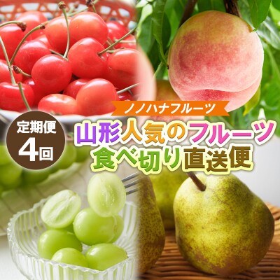 【定期便4回】ノノハナフルーツ 人気のフルーツ 食べ切り直送便【令和8年産先行予約】FS25-069