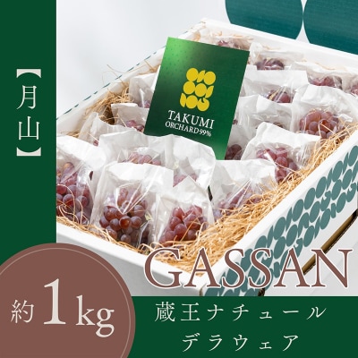 【月山 GASSAN】蔵王ナチュールデラウェア  贈答 L以上【令和8年産先行予約】FS25-119