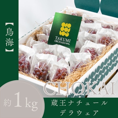 蔵王ナチュールデラウェア ご家庭 M以上