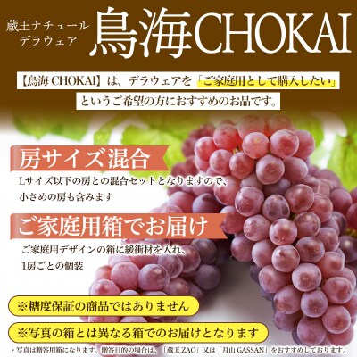 【鳥海 CHOKAI】蔵王ナチュールデラウェア ご家庭 M以上【令和8年産先行予約】FS25-121