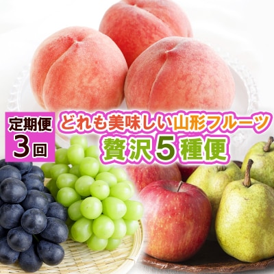 【定期便3回】どれも美味しい 山形フルーツ 贅沢5種便【令和8年産先行予約】FS25-122