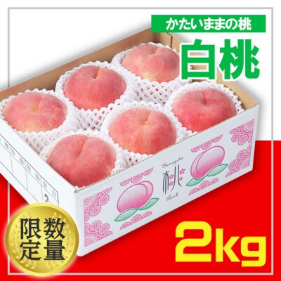 ☆フルーツ王国山形☆白桃 秀品 2kg(かたいままの桃) 【令和8年産先行予約】 FS25-672