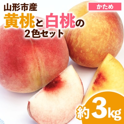 山形市産 黄桃と白桃の2色セット 秀 3kg(硬め) 【令和8年産先行予約】FS23-848