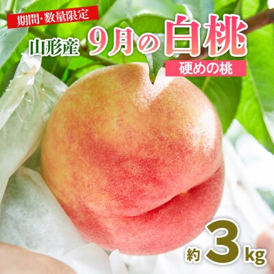 山形9月の白桃 [硬めの桃] 秀品 約3kg 【令和8年産先行予約】FU23-583