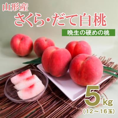 山形産晩生のかための桃 秀 5kg(さくら、だて白桃) 【令和8年産先行予約】FS24-503