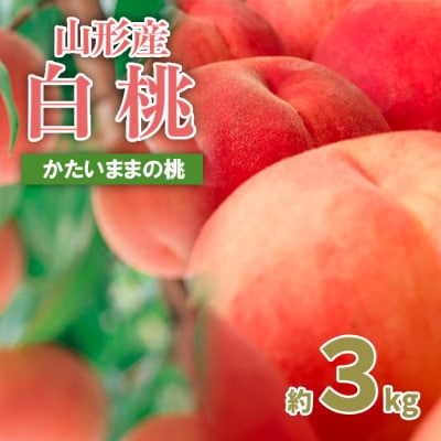 山形の産直所で人気!硬くてカリカリの桃 3kg(5～12玉) 【令和8年産先行予約】FU21-831
