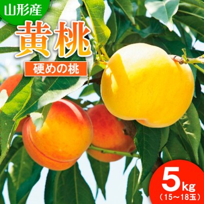 山形市産 もも(黄桃)5kg(15～18玉)[硬めの桃] 【令和8年産先行予約】FS25-730