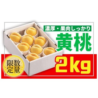 ★山形黄金色の桃★黄桃秀品2kg[柔らかくなる桃] 【令和8年産先行予約】 FS25-669