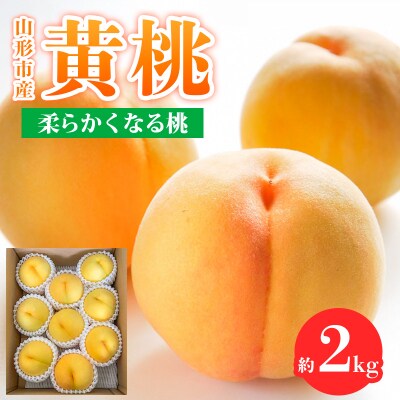 山形市産 黄桃 秀品 2kg(4～8玉) 柔らかくなる桃 【令和8年産先行予約】FS24-758