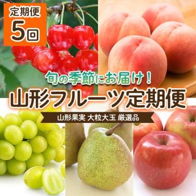 【定期便5回】山形果実 大粒 大玉 厳選品 【令和8年産先行予約】FU22-070 