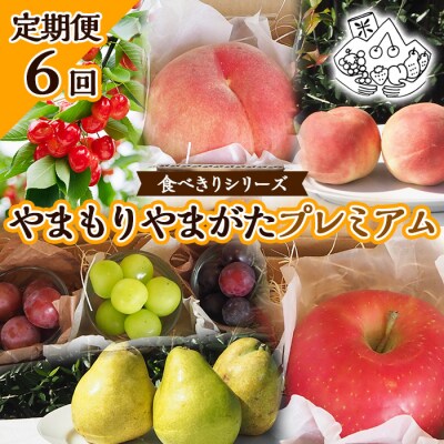 【定期便6回】★食べきりシリーズ★やまもりやまがたプレミアム 【令和8年産先行予約】FU23-735