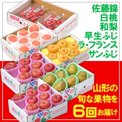 【定期便6回】★フルーツ王国山形★【令和8年産】FS25-667 