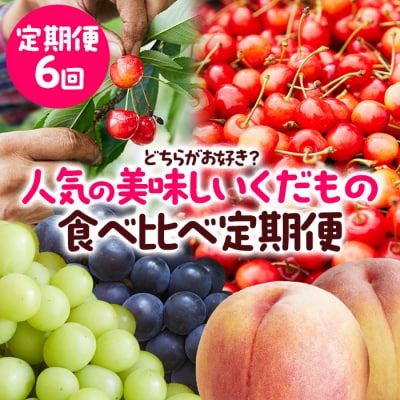 【定期便6回】どちらがお好き?人気の美味しいくだもの食べ比べ定期便 【令和8年産】
