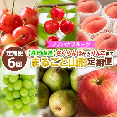 【定期便6回】さくらんぼからりんごまで  まるごと山形定期便 【令和8年産】FS24-719 