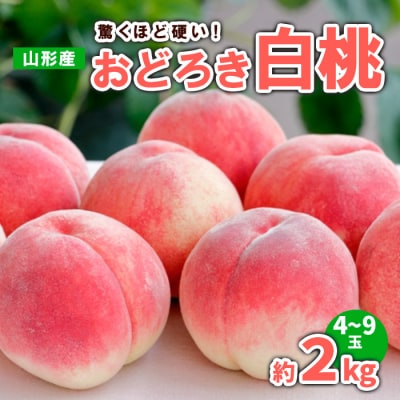 山形産 おどろき 白桃  秀 約2kg(4～9玉) 【令和8年産先行予約】FS23-780