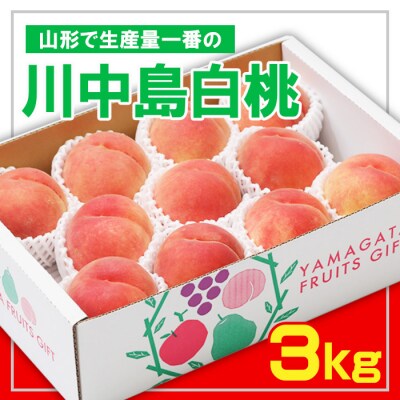 ☆フルーツ王国山形☆ 白桃 秀品[生産量1番の 川中島白桃 ]【令和8年産先行予約】FS23-825