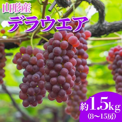 山形のぶどう デラウェア 7月 8月 秀品 約1.5kg