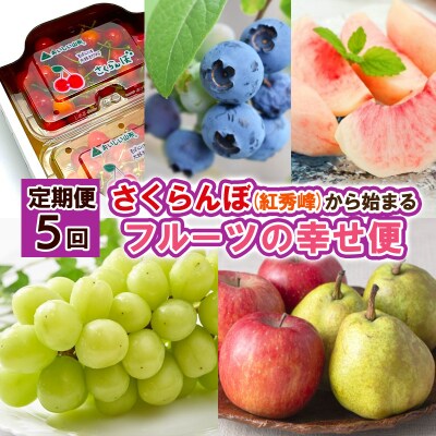 【定期便5回】さくらんぼ(紅秀峰)から始まるフルーツの幸せ便 【令和8年産】FS25-626