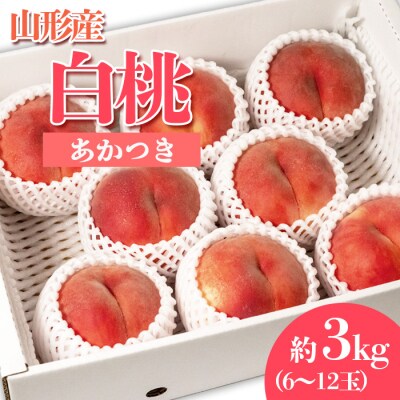 やまがたの桃(白桃)あかつき秀品約3kg(6～12玉程度) 【令和8年産先行予約】FS23-810 