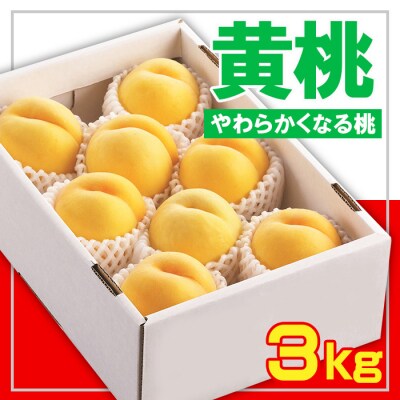 ☆フルーツ王国山形☆黄桃秀品 3kg [やわらかくなる桃] 【令和8年産先行予約】FS23-828