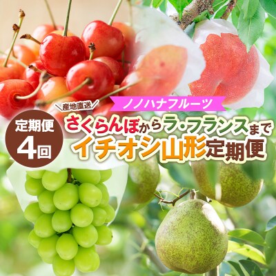 【定期便4回】 さくらんぼからラ・フランスまでイチオシ定期便【令和8年産】FS25-592 