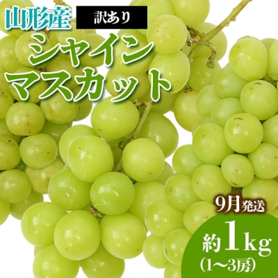 [訳あり]やまがたのぶどう シャインマスカット優品 約1kg【令和8年産先行予約】FS23-818