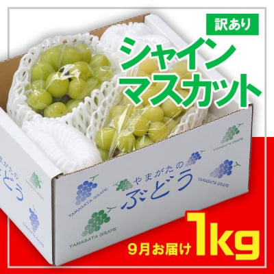 ☆フルーツ王国山形☆[訳あり] シャインマスカット1kg 9月【令和8年産先行予約】FS23-853