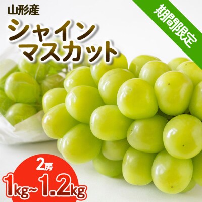 【期間限定】希少!冬のシャインマスカット秀品1kg～1.2kg【令和8年産先行予約】FS25-685