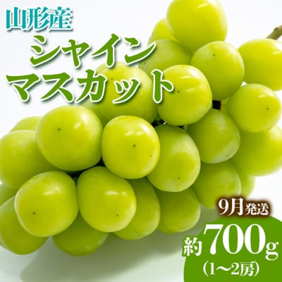 やまがたのぶどう シャインマスカット 9月 秀品 約700g【令和8年産先行予約】FS23-816