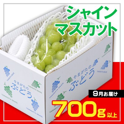 ☆フルーツ王国山形☆シャインマスカット秀品700g以上 9月【令和8年産先行予約】FS23-733 