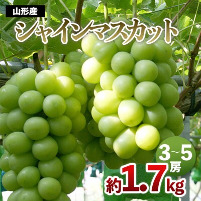 シャインマスカット 約1.7kg(3～5房) 【令和8年産先行予約】FS24-502 