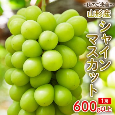 ～秋のご褒美～シャインマスカット1房 600g以上 【令和8年産先行予約】FU22-016