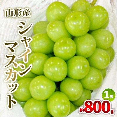 シャインマスカット 約800g 1房 秀品 【令和8年産先行予約】FS25-607