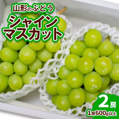 山形のぶどう シャインマスカット 2房(1房600g以上) 【令和8年産先行予約】FU19-729